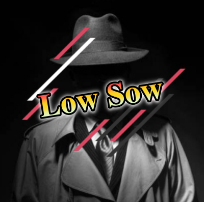 LowSow｜実践コンテンツ提供
